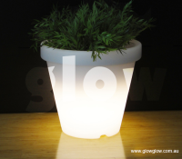 Glow LED small plant pot|Glow Illuminated LED small plant pot