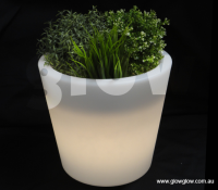 Glow LED baby round plant pot|Glow Illuminated LED Baby plant pot