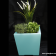 Glow LED baby square plant pot|Glow Illuminated LED Baby plant pot