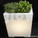 Glow LED baby square plant pot|Glow Illuminated LED Baby plant pot