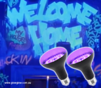 Glow LED UV Purple Black Light Globe|Glow it off with the Glow LED UV Purple Black Light Globe 
