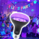 Glow LED UV Purple Black Light Globe|Glow it off with the Glow LED UV Purple Black Light Globe 